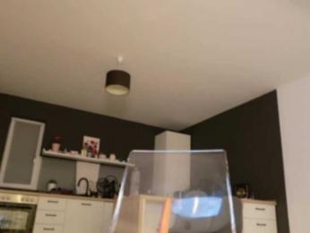 EmilyxJames — Bongacams recorded stream image, 17.09.2025 19:10