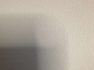 t1ger — Camsoda recorded stream image, 18.02.2025 06:30