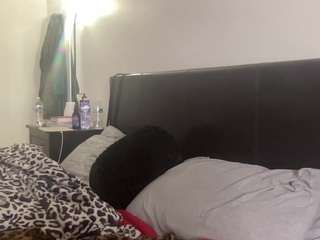 t1ger — Camsoda recorded stream image, 18.02.2025 06:30