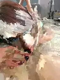 Wild_Wonders — Stripchat recorded stream image, 30.09.2025 15:40