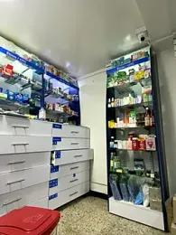 roouse — Stripchat recorded stream screenshot (04 Oct 2025)