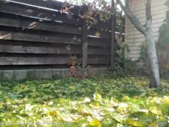 patry333 — Chaturbate recorded stream screenshot (23 Oct 2025)