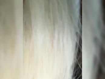 -Riviera- — Bongacams recorded stream image, 24.10.2025 19:20