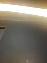 InkLady444 — Stripchat recorded stream image, 27.10.2025 19:00