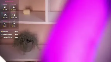 Naughty__Couplles — Stripchat recorded stream image, 05.11.2025 11:30
