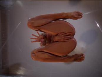 heybanan — Chaturbate recorded stream image, 05.11.2025 17:30