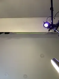 MisFrekcles_ — Stripchat recorded stream screenshot (20 Nov 2025)