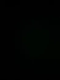 Rimmahottes — Stripchat recorded stream image, 29.11.2025 00:00