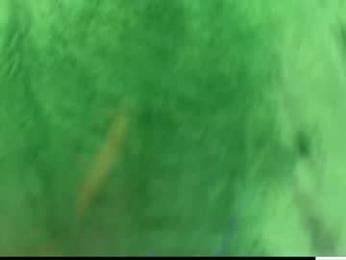 laurenbrite — Chaturbate recorded stream image, 30.11.2025 01:50