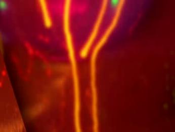 heybanan — Chaturbate recorded stream image, 30.11.2025 18:00