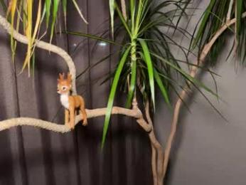 aronyou_win — Chaturbate recorded stream screenshot (01 Dec 2025)