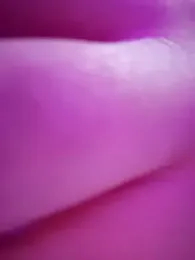 _arabica_ — Stripchat recorded stream image, 02.12.2025 06:00