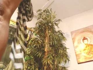 liquidfire — Camsoda recorded stream screenshot (03 Dec 2025)