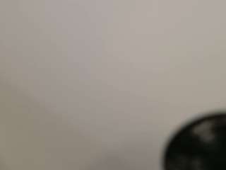 nina-rose — Camsoda recorded stream image, 09.12.2025 16:20