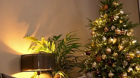 _keeti_ — Stripchat recorded stream image, 14.12.2025 04:40