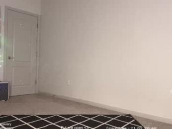 petitebrat — Chaturbate recorded stream image, 22.12.2025 19:40