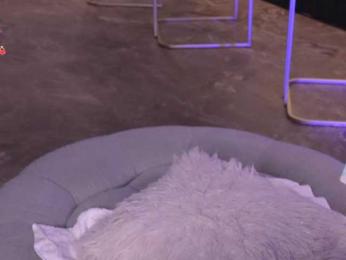 MadelineFox — Bongacams recorded stream image, 30.12.2025 11:10