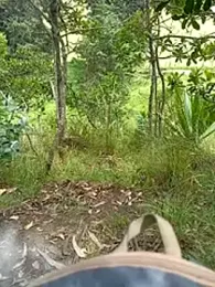 Cuervo_maniaco — Stripchat recorded stream screenshot (02 Jan 2026)