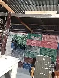 hoteder — Stripchat recorded stream image, 05.01.2026 17:30