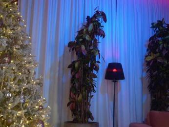 EvaFashionista — Bongacams recorded stream screenshot (06 Jan 2026)