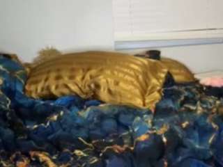 laylared — Camsoda recorded stream screenshot (08 Jan 2026)