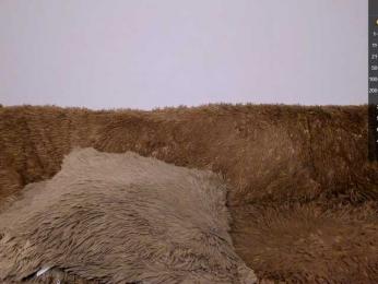 Tina_may — Bongacams recorded stream screenshot (11 Jan 2026)