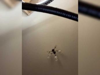 HellMor — Bongacams recorded stream image, 15.01.2026 10:10