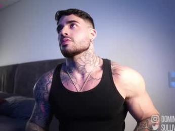 dominic_sullivan1 — Chaturbate recorded stream screenshot (17 Jan 2026)