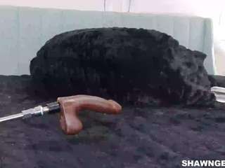 shawn-geni — Camsoda recorded stream screenshot (17 Jan 2026)