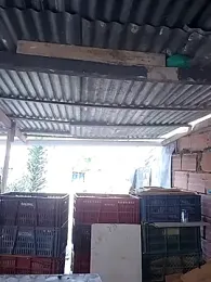 hoteder — Stripchat recorded stream image, 19.01.2026 12:10