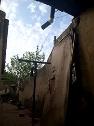 Petrossa — Stripchat recorded stream screenshot (19 Jan 2026)