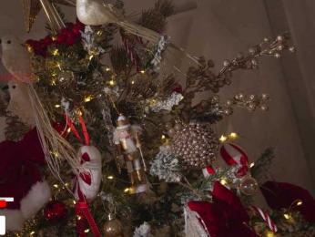 Taanni — Bongacams recorded stream image, 23.01.2026 20:20