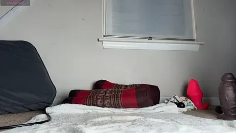 Theonlydreamybull — Stripchat recorded stream image, 25.01.2026 06:00