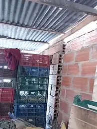 hoteder — Stripchat recorded stream image, 26.01.2026 12:40