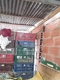 hoteder — Stripchat recorded stream image, 26.01.2026 12:40