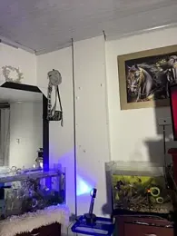 CRAZY-BOY99 — Stripchat recorded stream image, 29.01.2026 08:30