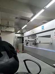 S-kt-et — Stripchat recorded stream screenshot (29 Jan 2026)