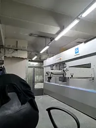 S-kt-et — Stripchat recorded stream screenshot (29 Jan 2026)