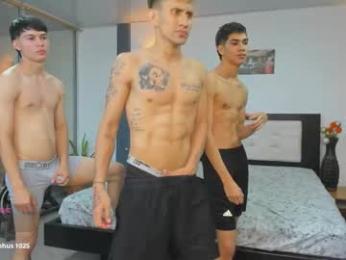 playhardsex — Chaturbate recorded stream image, 01.02.2026 00:00