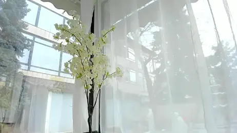 Russian_Ava — Stripchat recorded stream screenshot (01 Feb 2026)