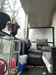 GingerSnap33 — Stripchat recorded stream screenshot (01 Feb 2026)