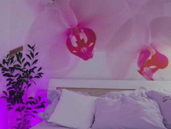 _AfterDark_ — Bongacams recorded stream image, 02.02.2026 01:00