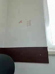 Almmaxxxx — Stripchat recorded stream image, 02.02.2026 06:30