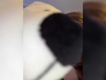 _Lisichka — Bongacams recorded stream image, 05.02.2026 10:50