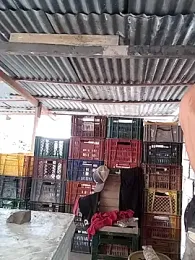 hoteder — Stripchat recorded stream image, 09.02.2026 12:20