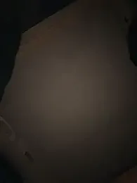 DollyTall — Stripchat recorded stream screenshot (15 Feb 2026)