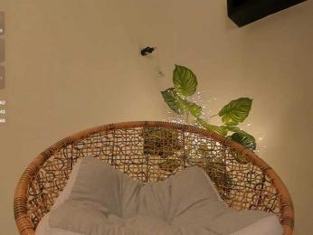 PLUXURY- — Bongacams recorded stream screenshot (17 Feb 2026)