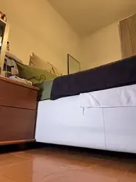 Wet-Pussycat — Stripchat recorded stream image, 17.02.2026 17:00