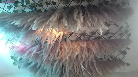 axel_milo_kairo_and_noa — Stripchat recorded stream screenshot (18 Feb 2026)