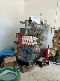 Paul22cm- — Stripchat recorded stream screenshot (19 Feb 2026)